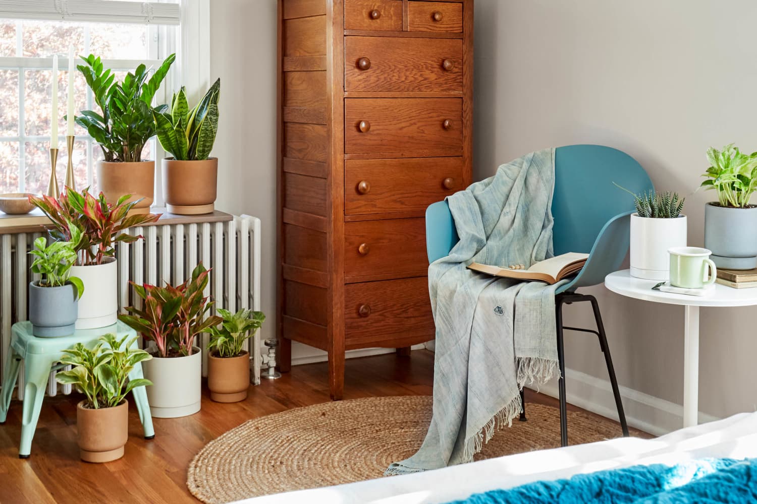 3 Ways to Arrange Plants in Any Size Bedroom Apartment Therapy
